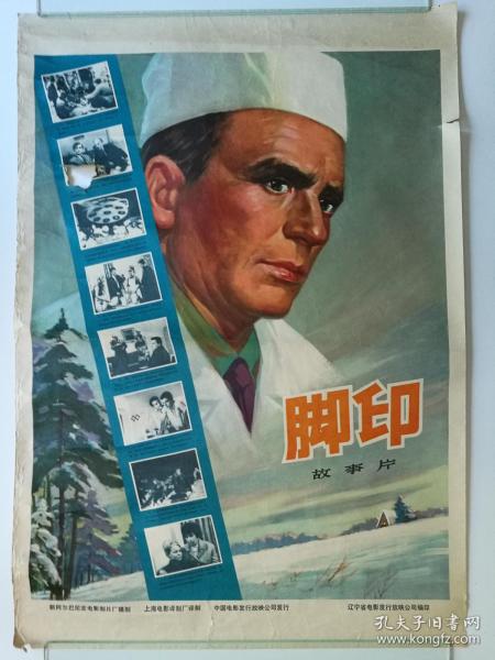法考毕业证书编号写成学位证书编号